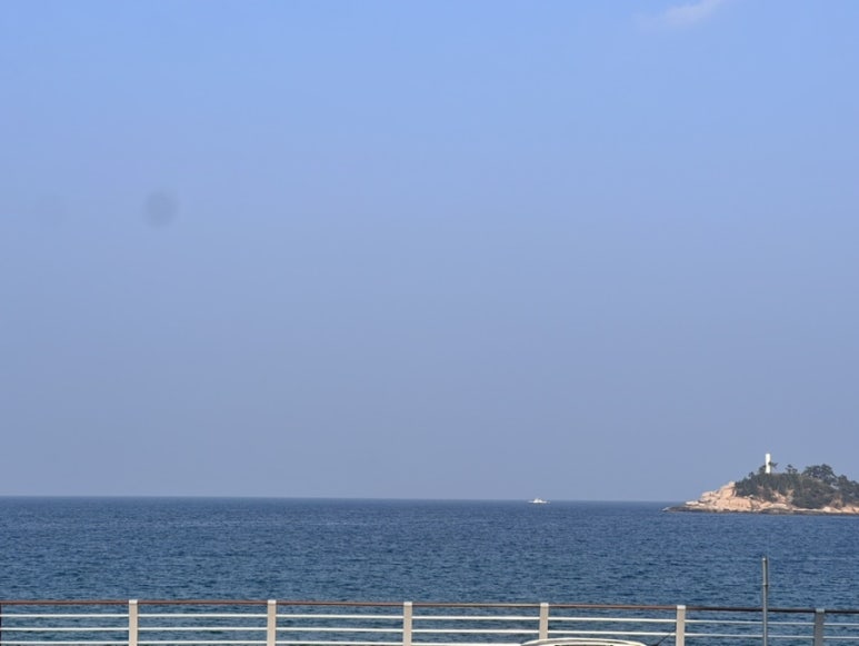 데이오브투컬러스 이미지