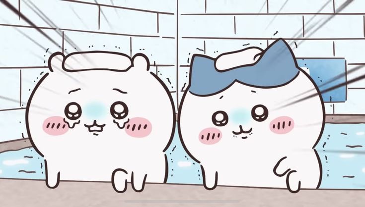 쿠시쿠시 이미지