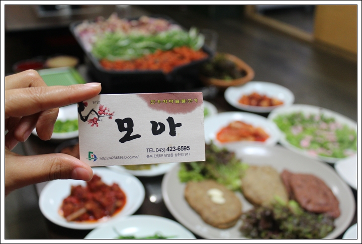 단양모아 이미지