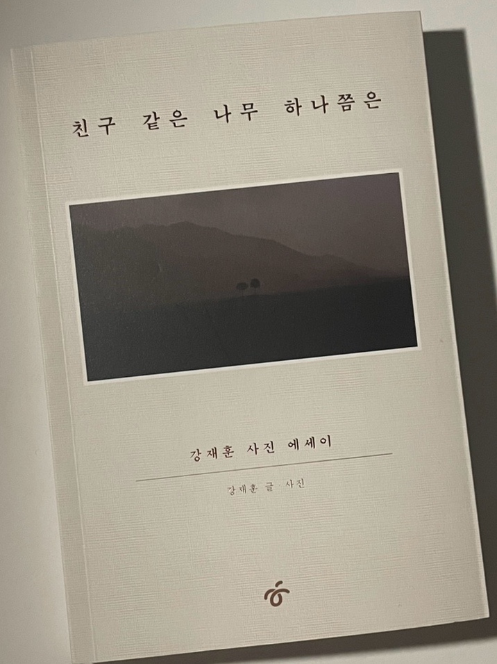 본가은행나무집 이미지