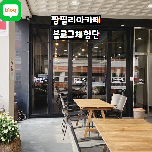 팜필리아 이미지