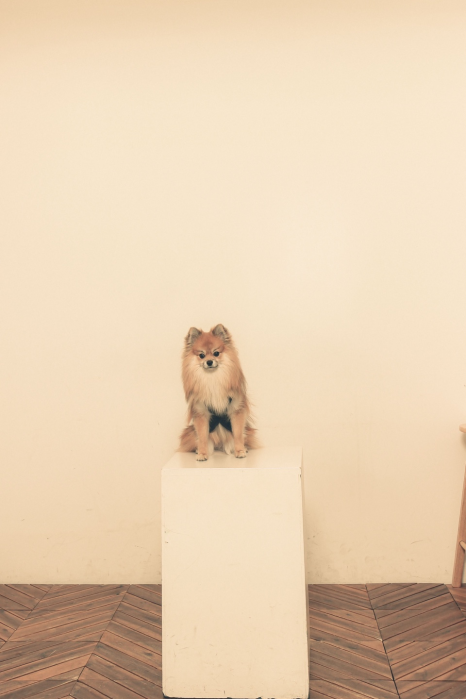 오늘;우리사진관신촌 이미지