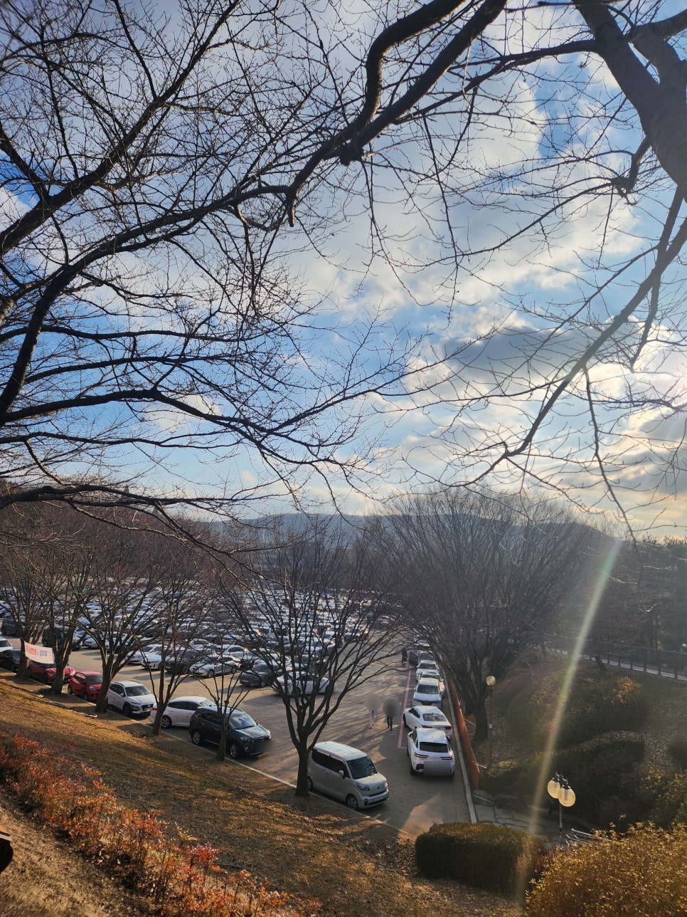 분당 율동공원 반려견 놀이터, 애견 동반 산책 코스 — 사진 2