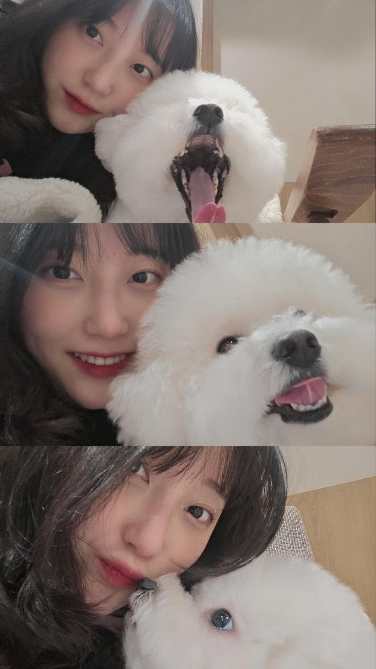 대창화랑 이미지