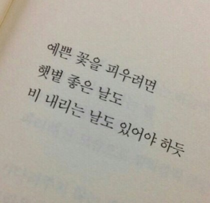 비비드카페 이미지