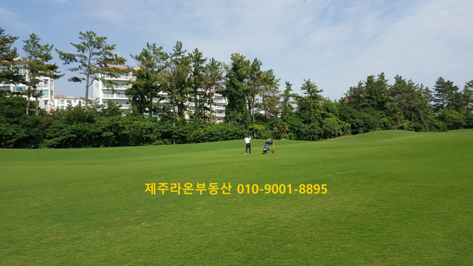 라온커뮤니티 이미지