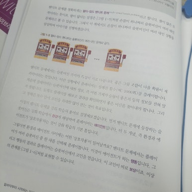 몬테TD 이미지