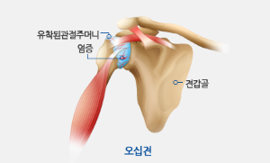명진한의원 이미지