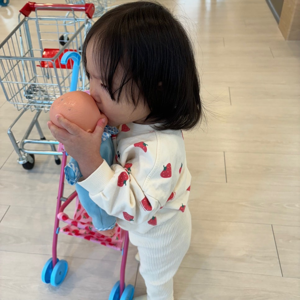 슈슈봉봉디노 이미지
