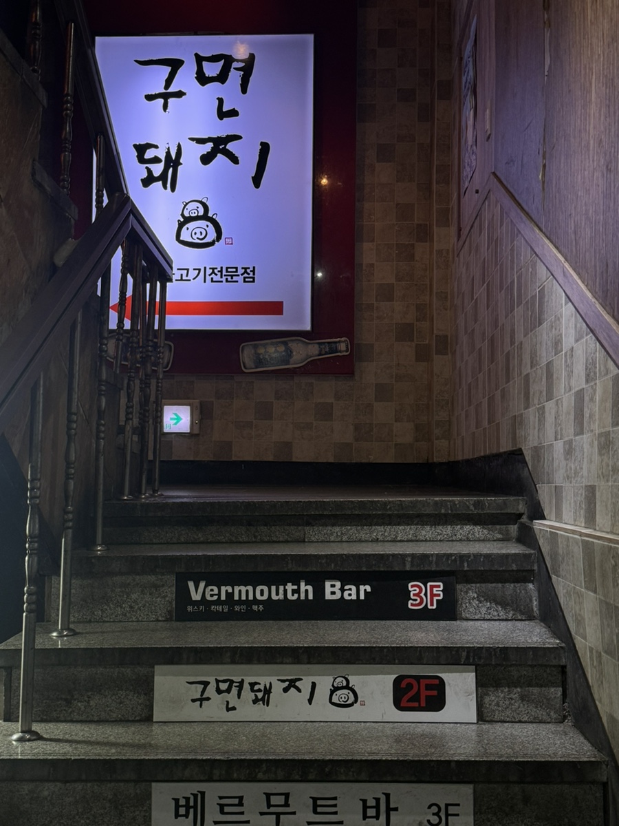 구면돼지 이미지