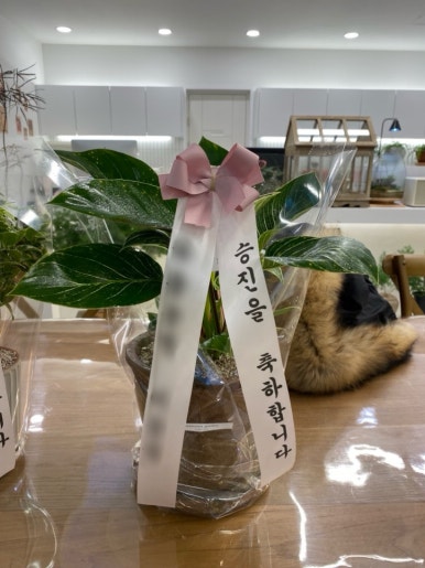 플레져가든 이미지