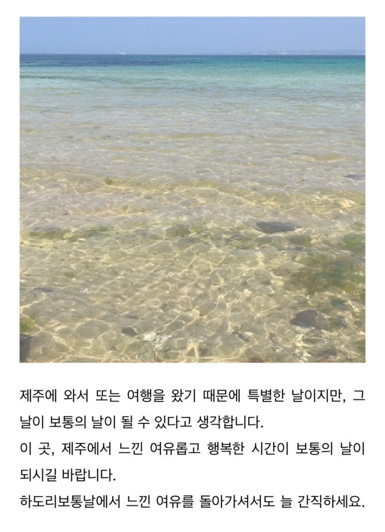 하도리보통날 이미지