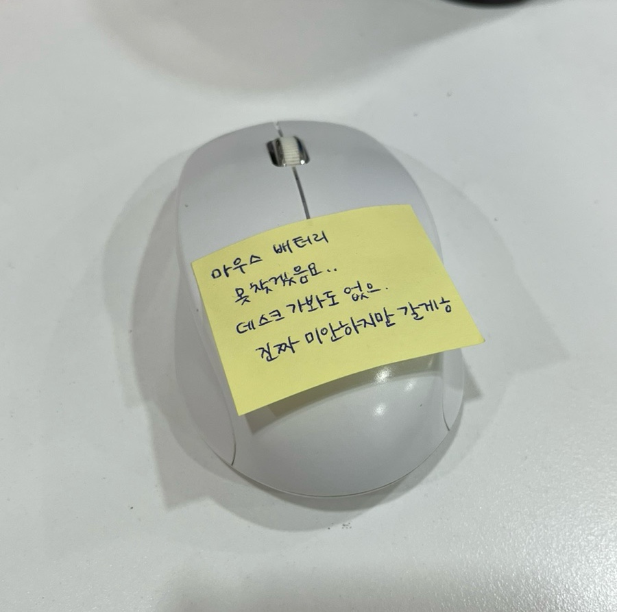 비바리언니 이미지