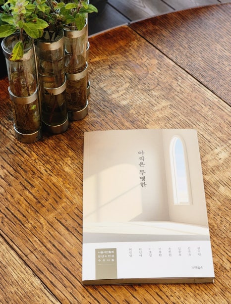 투명한청년들 이미지