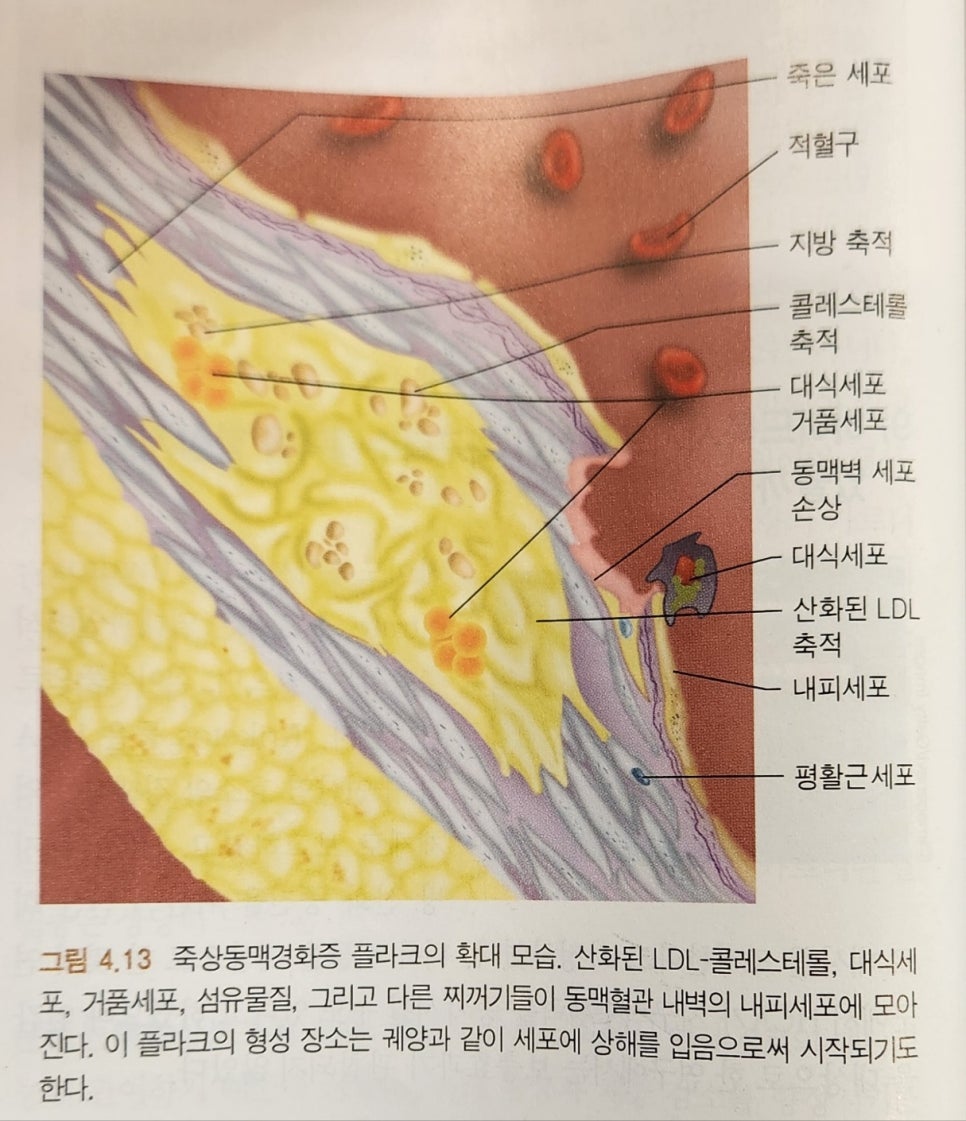 브랜드짐 이미지