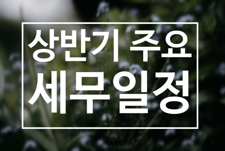 다인세무회계 이미지