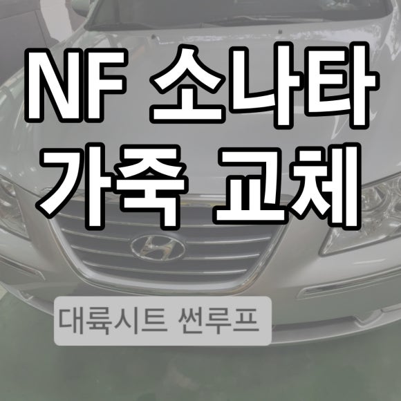 수원시트카바 이미지
