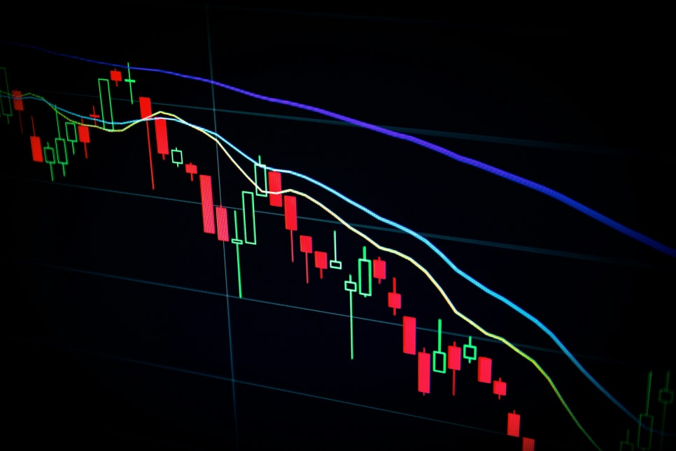 세무회계세인 이미지