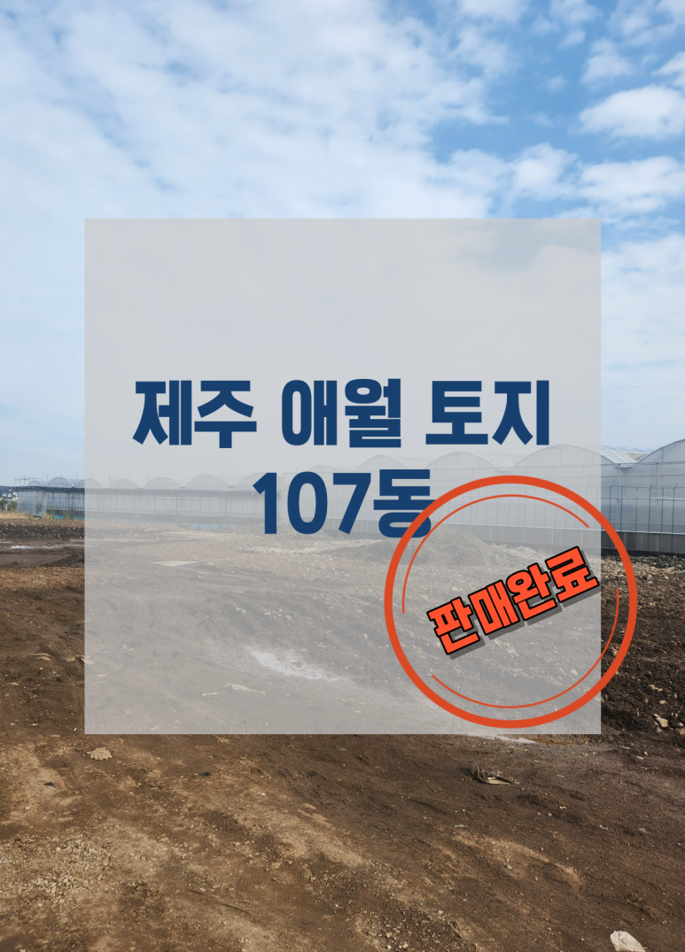 에이치앤엘 이미지