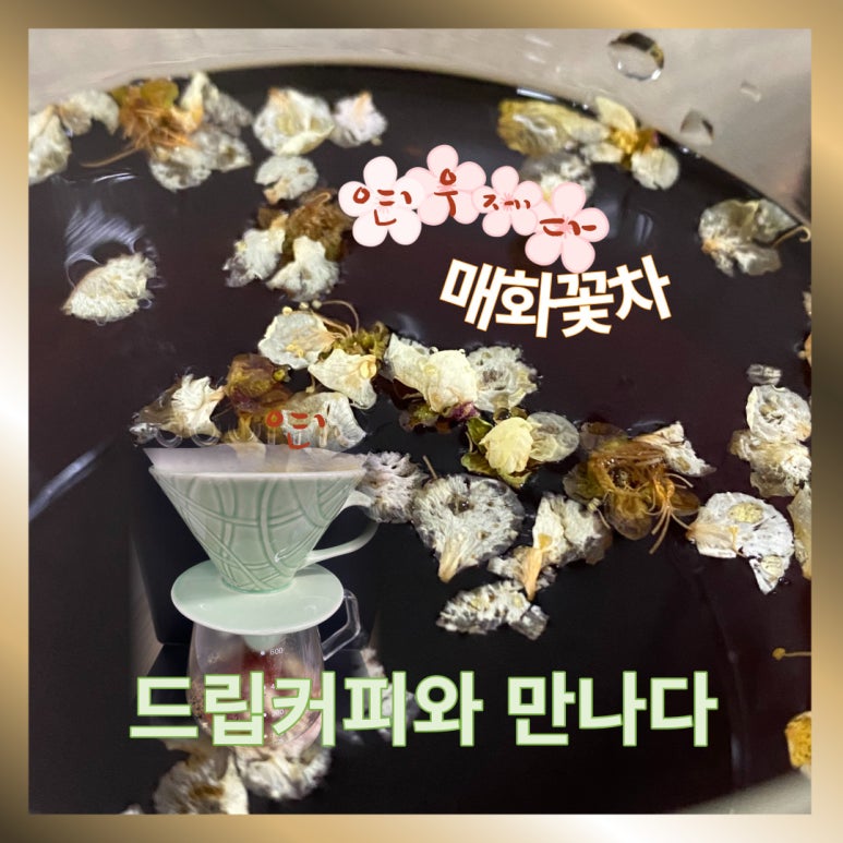 드립꽃 이미지