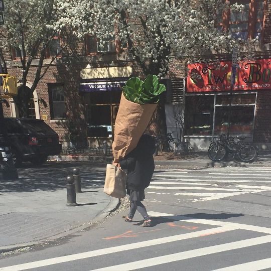 그순간꽃부천 이미지