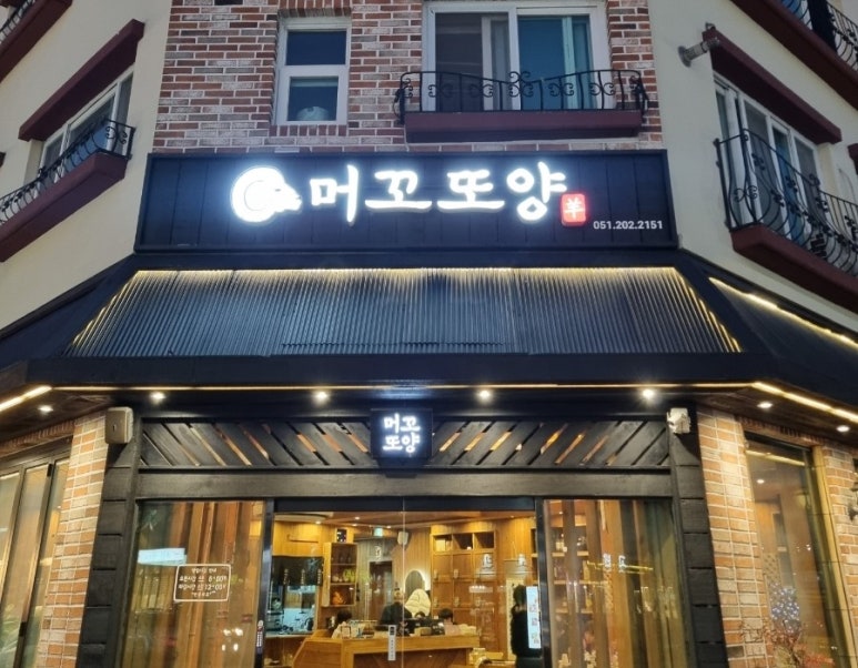 머꼬또양 이미지