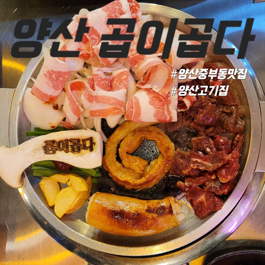 곱이곱다 이미지
