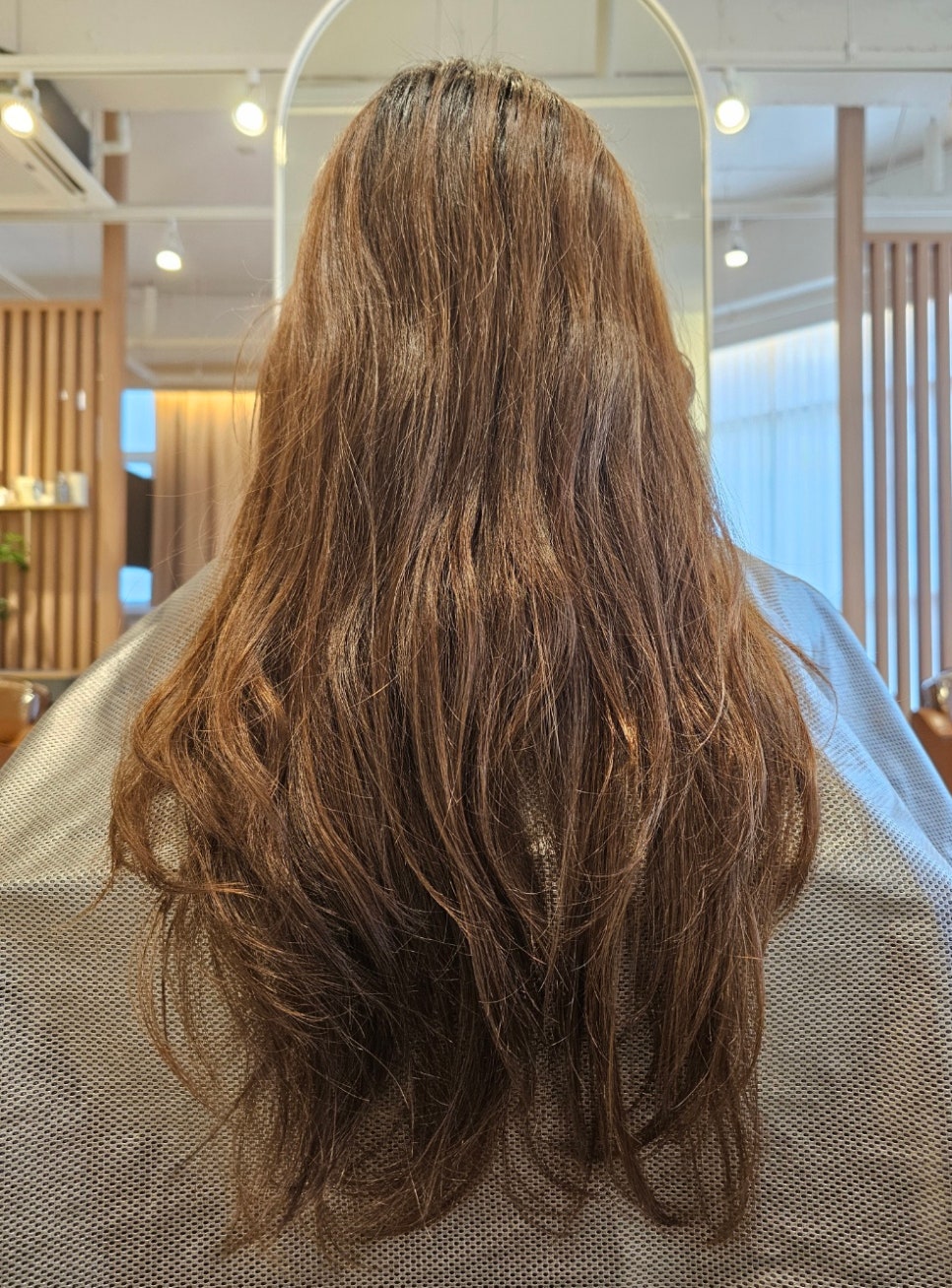 아코하롬헤어양주 이미지