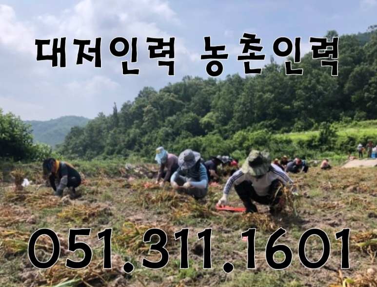 우성인력 이미지