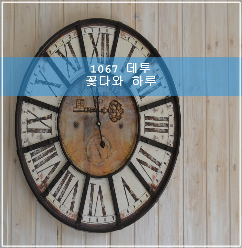 꽃다와 이미지