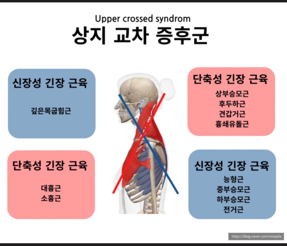 마이애미짐 이미지