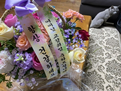 도원꽃집 이미지
