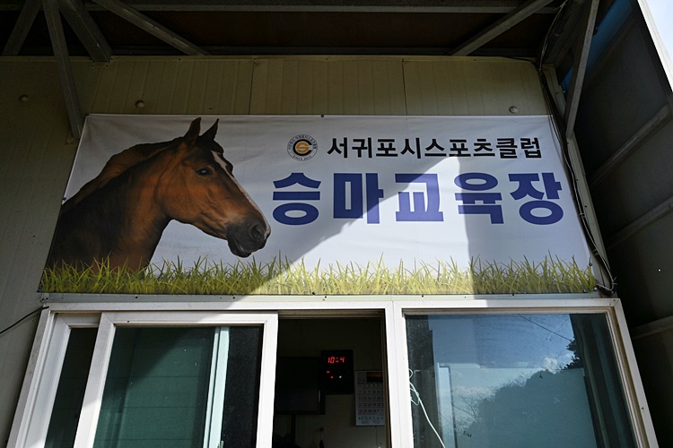 초원승마클럽 이미지