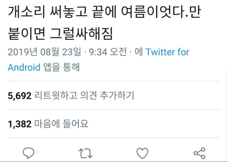 비씨지컨설팅 이미지