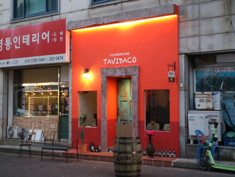 타비다코 이미지
