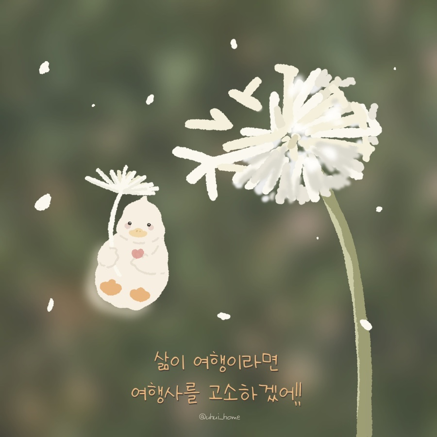 하트여행사 이미지