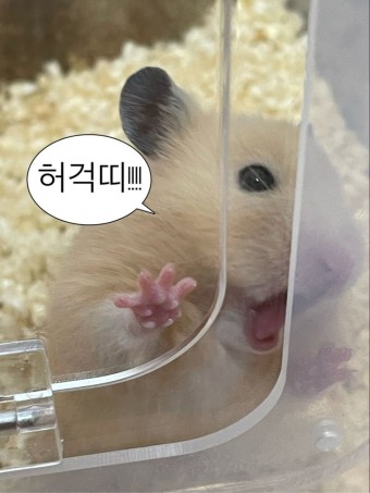 투맨피자 이미지