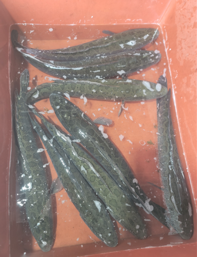 자연수산 식당 이미지