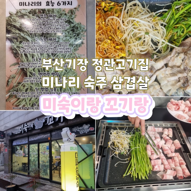 미숙이랑꼬기랑 이미지
