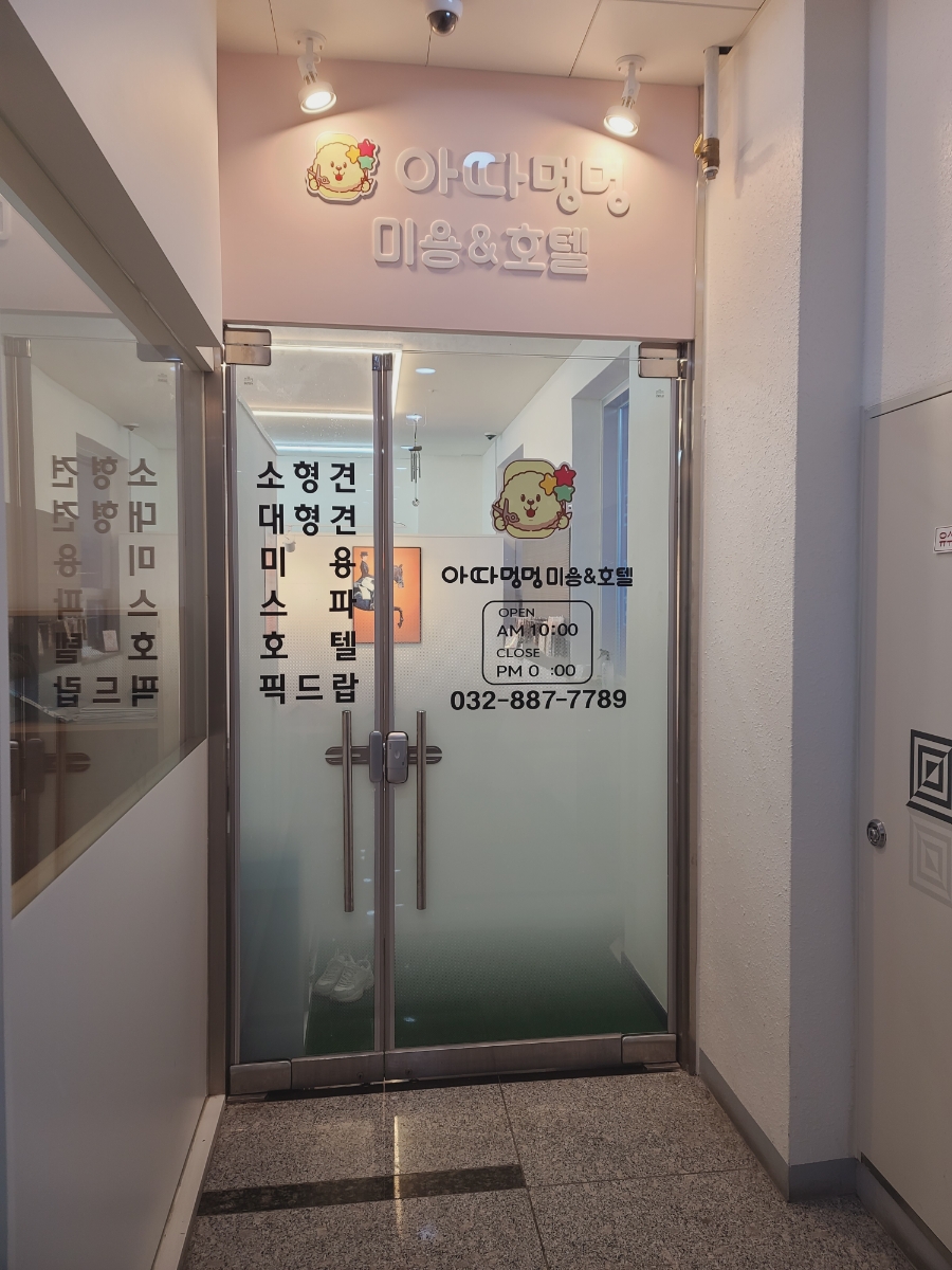 아따멍멍 이미지