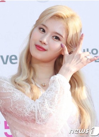 하우헤어 이미지