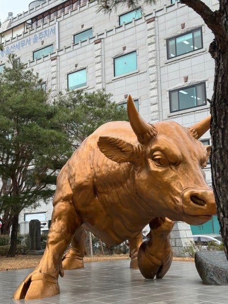 불고기센터 이미지