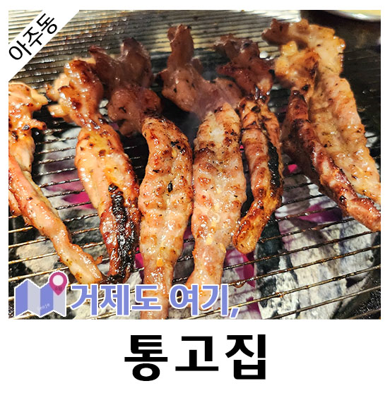 통고집거제 이미지
