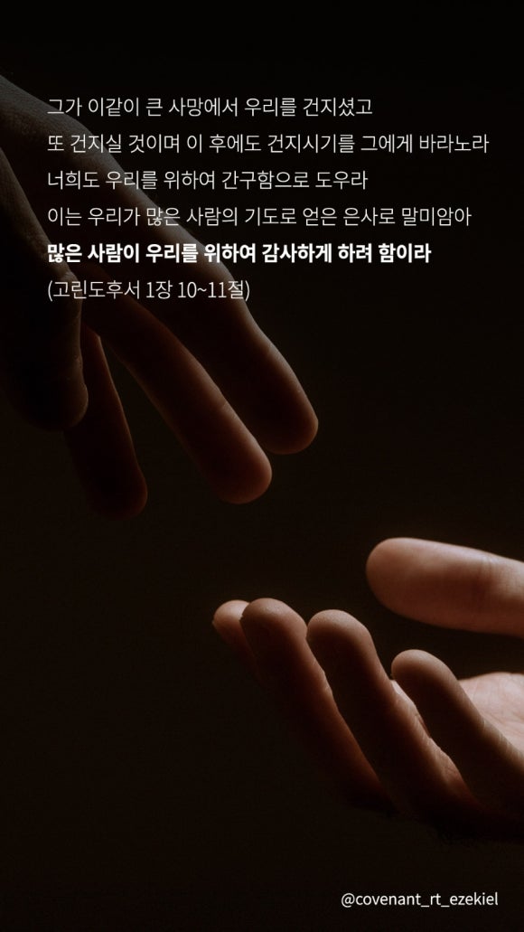 마므레 이미지