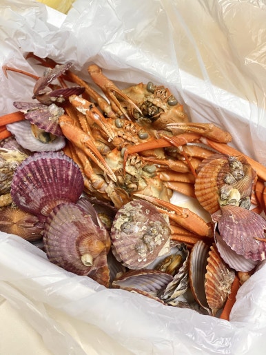 발그레홍게 이미지