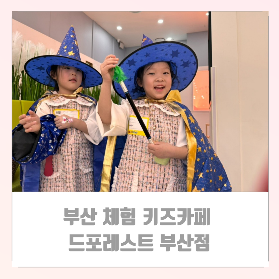 드 포레스트 부산점 이미지