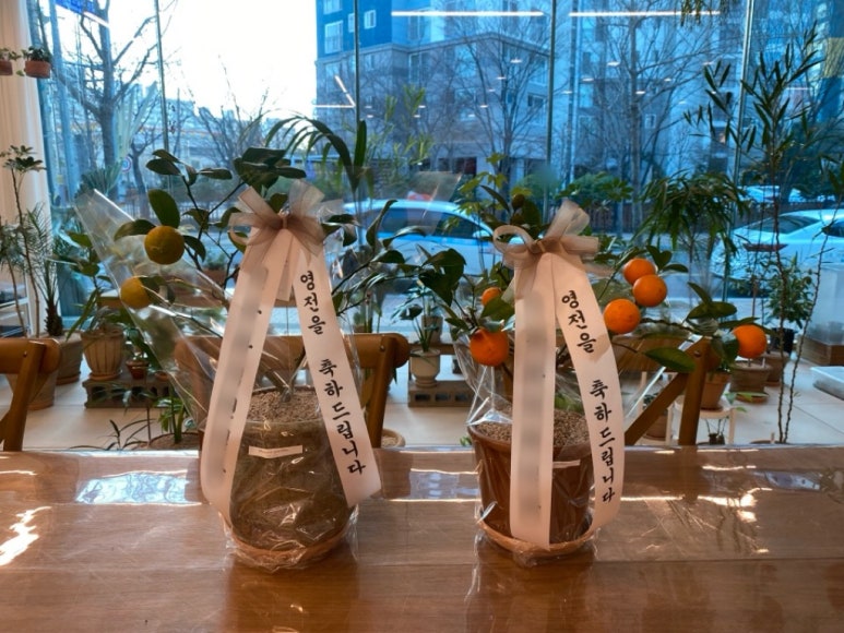 플레져가든 이미지
