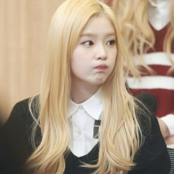하우헤어 이미지