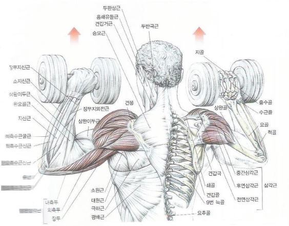 마인드프레스 이미지