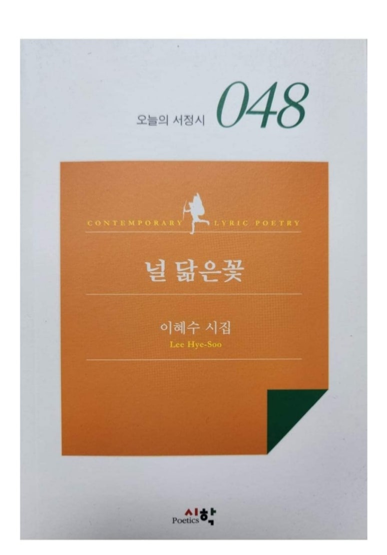 널;닮은꽃 이미지